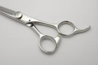 DEEDS ZL ロングシザー (6.5インチ)